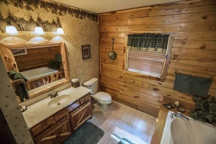 Imagen de la habitación del Hotel Lake Shore Cabins On Beaver Lake. Foto 14