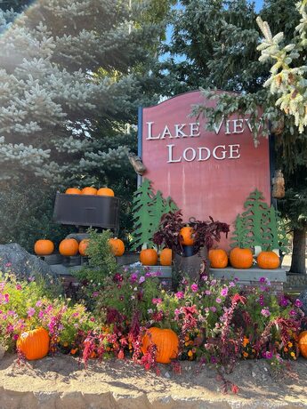 Imagen general del Hotel Lake View Lodge. Foto 3