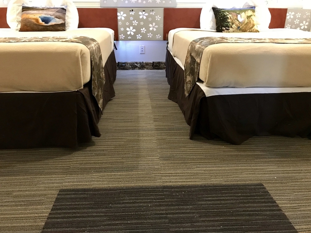 Imagen de la habitación del Hotel Lake View Suites. Foto 11