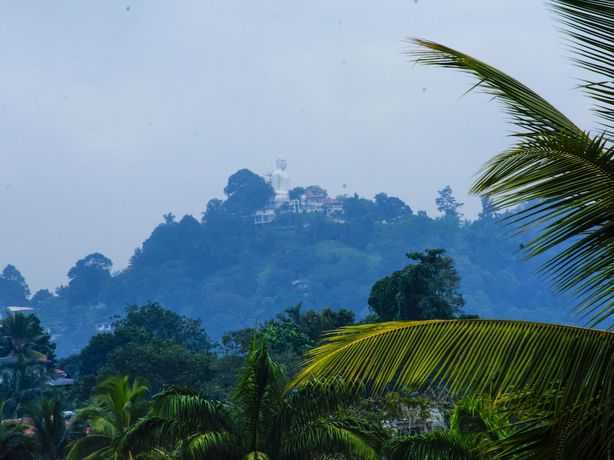 Imagen de la habitación del Hotel Lakefield. Foto 5