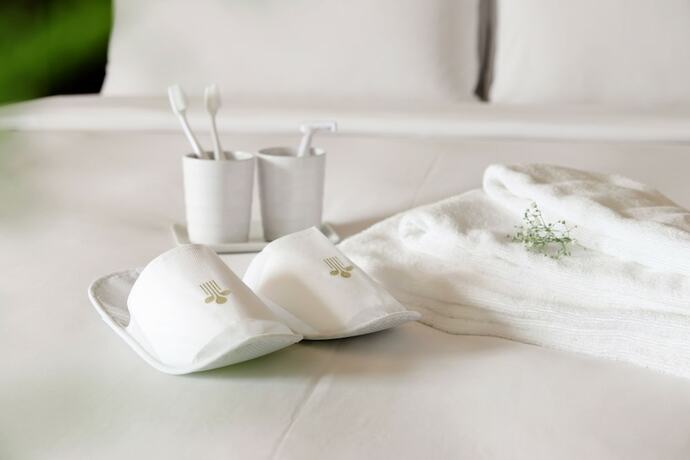 Imagen de la habitación del Hotel Lakeshore Hotel Metropolis. Foto 27