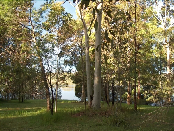 Imagen de los exteriores del Hotel Lakeshore Lodge, Woodstock. Foto 10