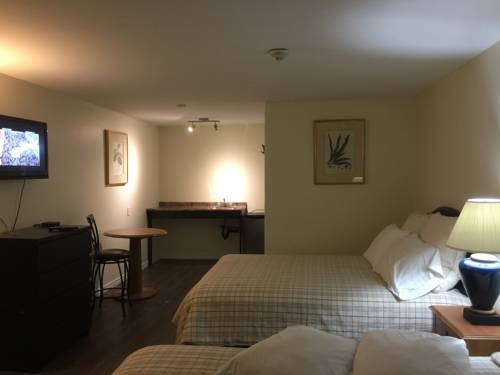 Imagen de la habitación del Hotel Lakeside Inn. Foto 4