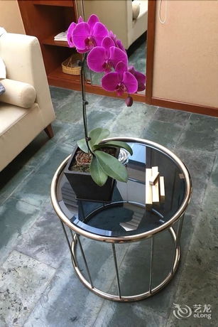 Imagen de la habitación del Hotel Lakeview Golf Kunming. Foto 15