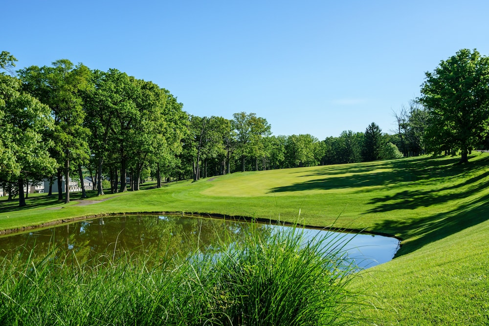 Imagen de los exteriores del Hotel Lakeview Golf Resort. Foto 13