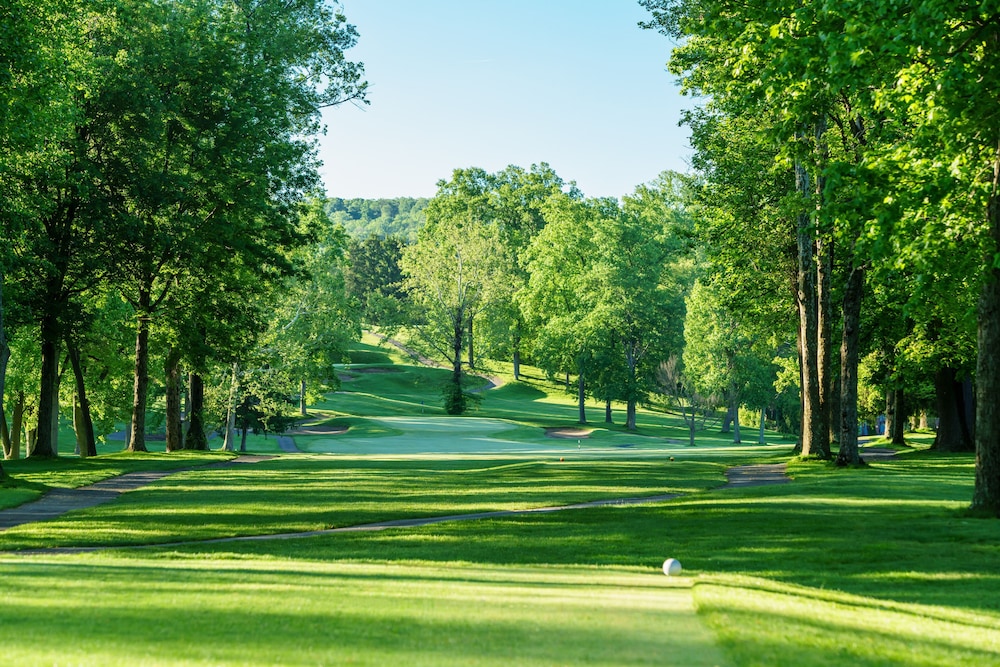 Imagen de los exteriores del Hotel Lakeview Golf Resort. Foto 14