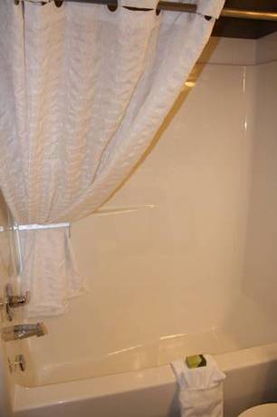 Imagen de la habitación del Hotel Lakeview Inns & Suites - Edson Airport West. Foto 5