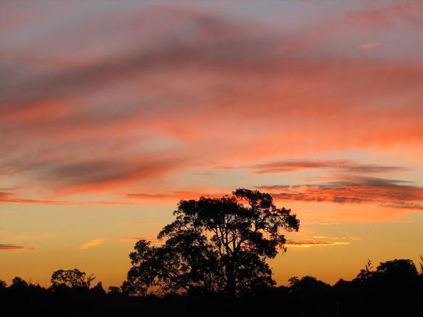 Imagen general del Hotel Lakeview Lodge, Perth. Foto 5