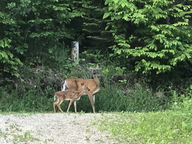 Imagen general del Hotel Lakeview Motel. Foto 2