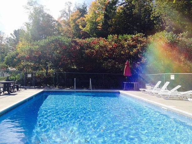 Imagen de la piscina del Hotel Lakeview Motel. Foto 17