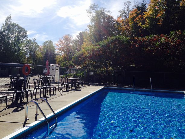 Imagen de la piscina del Hotel Lakeview Motel. Foto 18