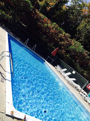 Imagen de la piscina del Hotel Lakeview Motel. Foto 19