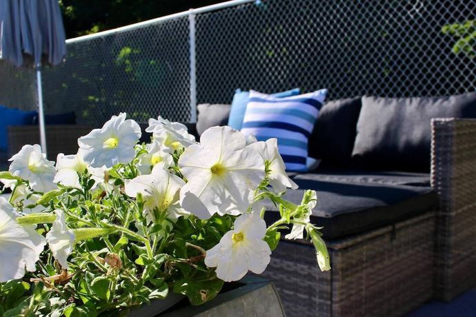 Imagen de la piscina del Hotel Lakeview Motel and Cottages. Foto 19