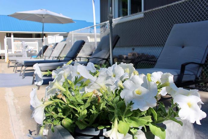 Imagen de la piscina del Hotel Lakeview Motel and Cottages. Foto 20