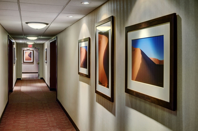 Imagen de los interiores del Hotel Lakeview Signature Inn. Foto 11