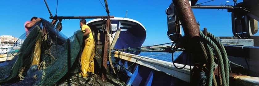 Imagen general del Hotel L'alguer. Foto 3