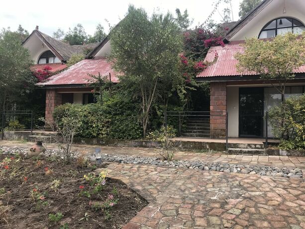 Imagen general del Hotel Lalibela Lodge. Foto 4