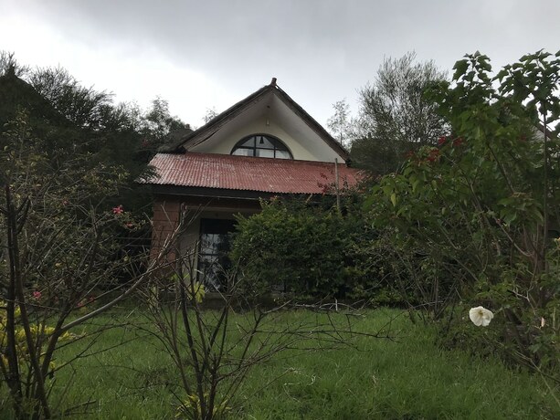 Imagen general del Hotel Lalibela Lodge. Foto 9