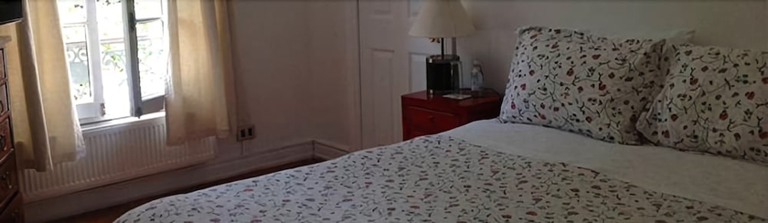 Imagen de la habitación del Hotel L'ambassade. Foto 12