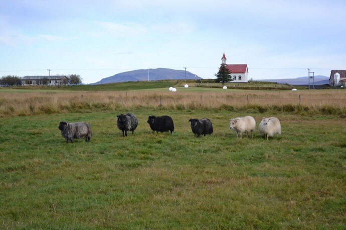 Imagen general del Hotel Lambastadir Guesthouse. Foto 17