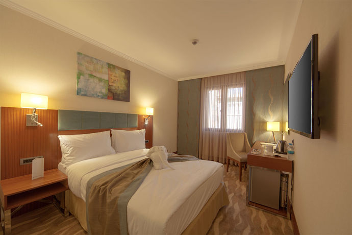 Imagen de la habitación del Hotel Lamec Business. Foto 16