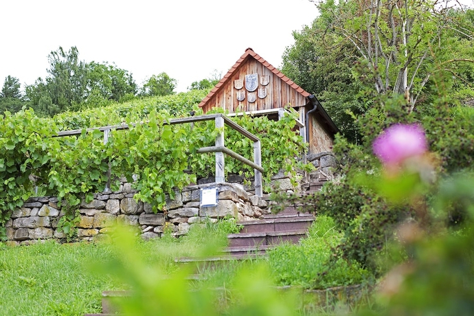 Imagen de los interiores del Hotel Lamm Hebsack. Foto 19