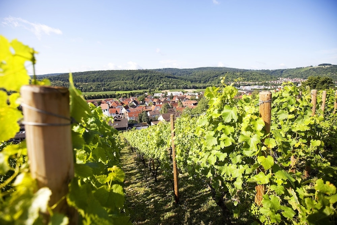 Imagen general del Hotel Lamm Hebsack. Foto 2