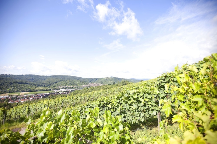 Imagen general del Hotel Lamm Hebsack. Foto 3