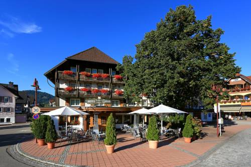Imagen general del Hotel Lamm, Mitteltal. Foto 1