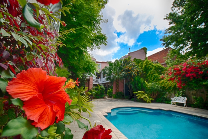 Imagen de la piscina del Hotel Lamothe House. Foto 15