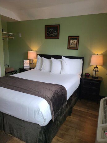 Imagen de la habitación del Hotel Lamplighter Cabins and Suites. Foto 17