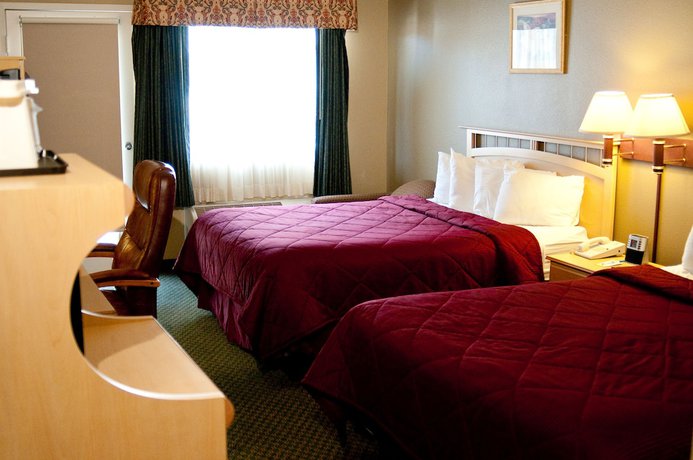 Imagen de la habitación del Hotel Lamplighter Inn and Suites. Foto 9
