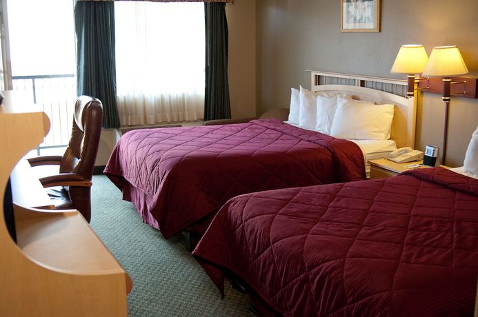 Imagen de la habitación del Hotel Lamplighter Inn and Suites. Foto 11