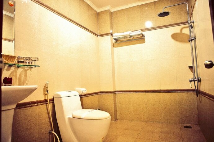 Imagen general del Hotel Lan Vy. Foto 13