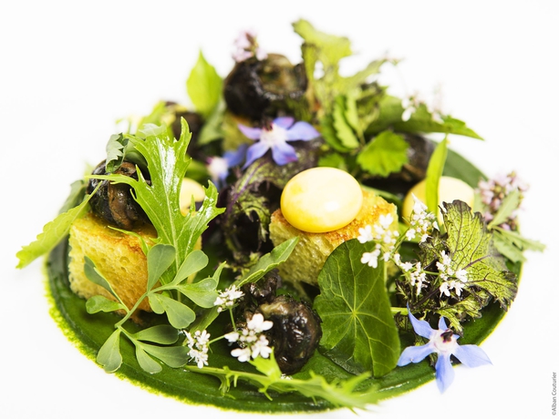 Imagen del bar/restaurante del Hotel Lancaster, Champs Elysees/Louvre. Foto 1