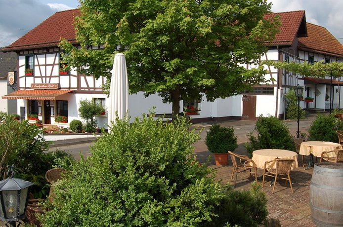 Imagen general del Hotel Landgasthaus Pfahl. Foto 1