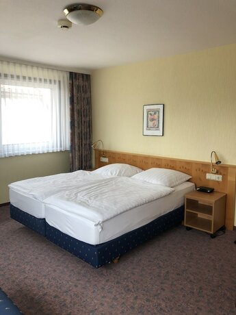 Imagen general del Hotel Landgasthaus Zur Linde. Foto 17