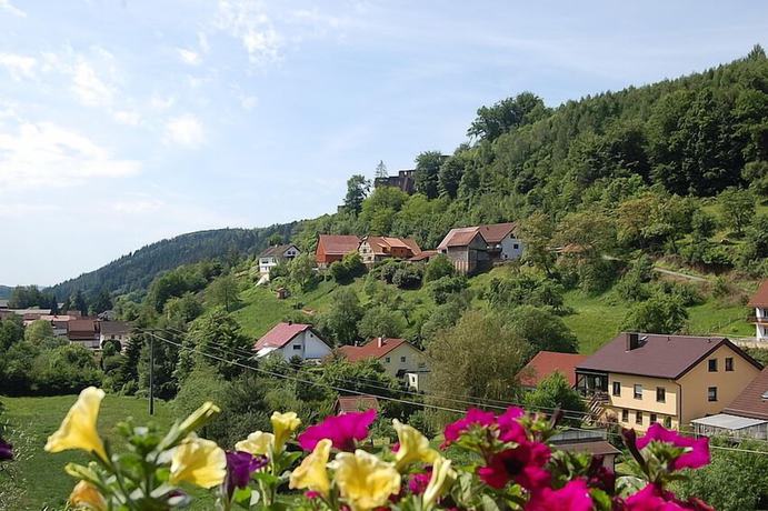 Imagen de la habitación del Hotel Landgasthof Gr&uuml;ner Baum, Oberzent. Foto 8