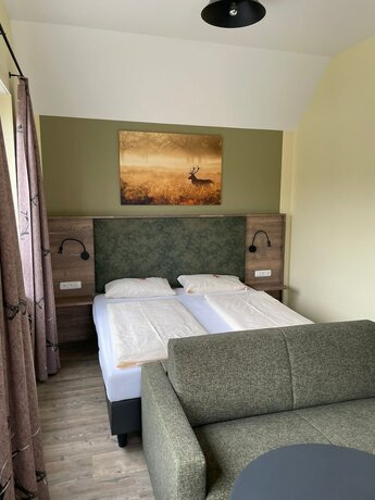 Imagen de la habitación del Hotel Landgasthof Gr&uuml;ner Baum, Ro&szlig;bach. Foto 17