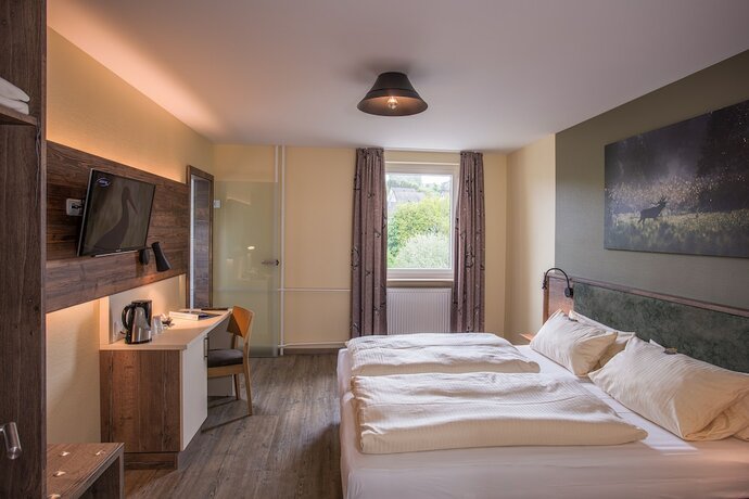 Imagen de la habitación del Hotel Landgasthof Gr&uuml;ner Baum, Ro&szlig;bach. Foto 18