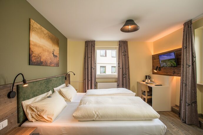 Imagen de la habitación del Hotel Landgasthof Gr&uuml;ner Baum, Ro&szlig;bach. Foto 20