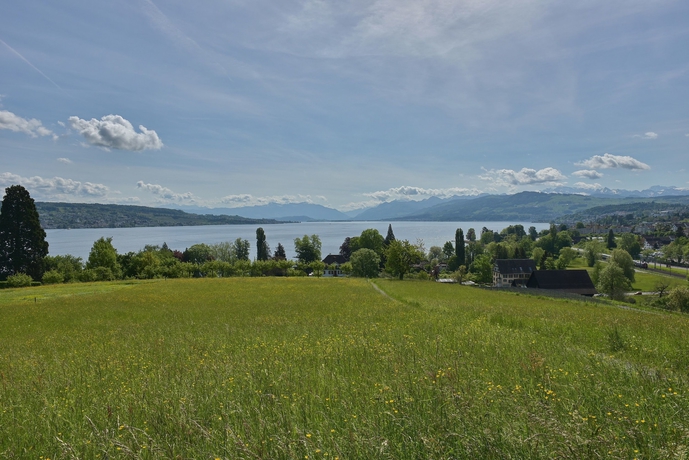 Imagen de los exteriores del Hotel Landgasthof Halbinsel Au. Foto 13