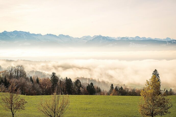 Imagen general del Hotel Landgasthof Hasenstrick. Foto 8