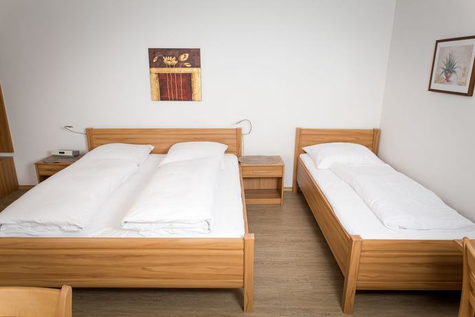 Imagen de la habitación del Hotel Landgasthof Hohenauer Hof. Foto 19