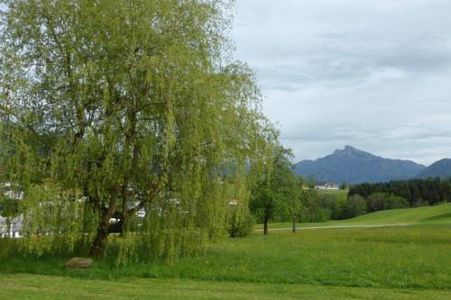 Imagen de la habitación del Hotel Landgasthof Prielbauer. Foto 5