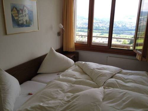 Imagen de la habitación del Hotel Landgasthof S&auml;ntisblick. Foto 10