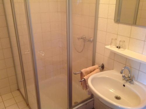 Imagen general del Hotel Landgasthof 'zum Wiesengrund'. Foto 8