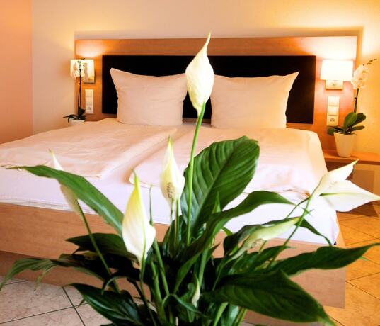 Imagen de la habitación del Hotel Landgasthof zur Blume. Foto 16