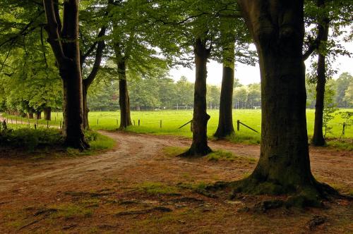 Imagen general del Hotel Landgoed Ehzerwold. Foto 2