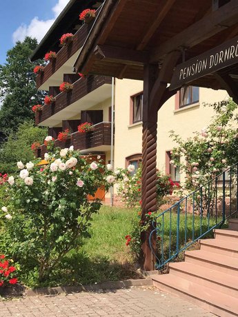 Imagen general del Hotel Land-gut-Dornröschen. Foto 3